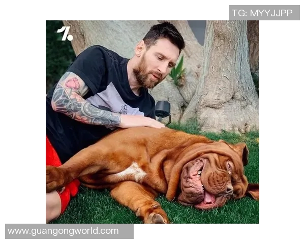 以足球明星命名的狗狗:那些因球星而得名的萌宠故事